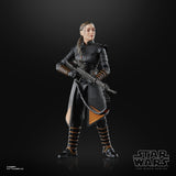 Bounty Collectibles & Toys - Hasbro Star Wars The Black Series Fennec Shand 6-Inch Action Figure