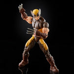 Bounty Collectibles & Toys - Hasbro X-Men Marvel Legends Wolverine 6-Inch Action Figure