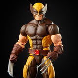 Bounty Collectibles & Toys - Hasbro X-Men Marvel Legends Wolverine 6-Inch Action Figure