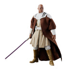 Bounty Collectibles & Toys - Star Wars The Black Series Clone Wars Mace Windu 6-Inch Action Figure